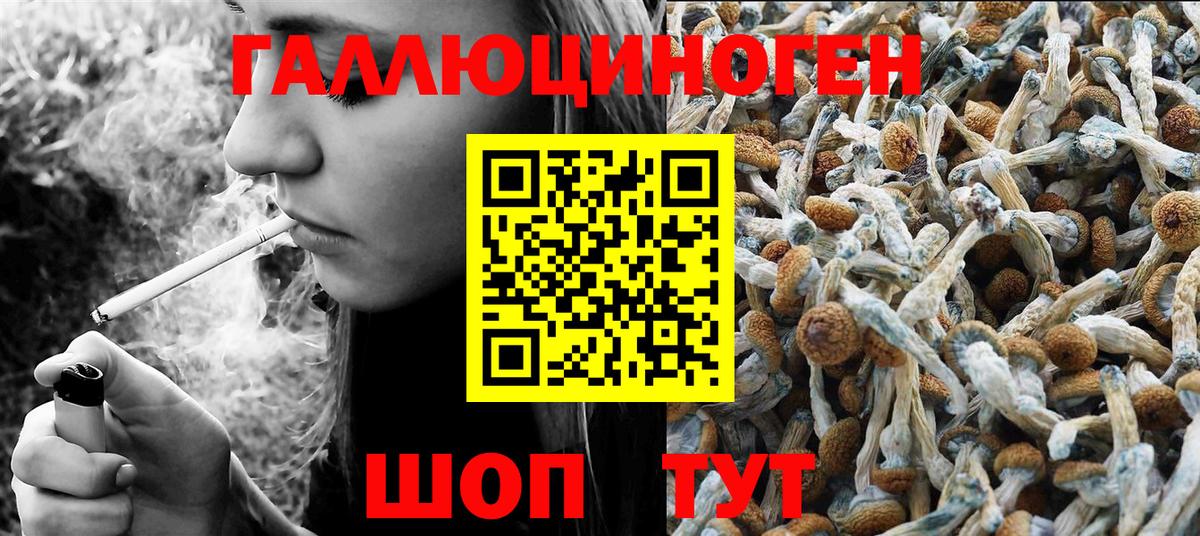 Псилоцибиновые грибы прущие грибы  Вход с VPN  Тула 