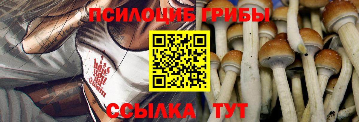 Псилоцибиновые грибы мицелий Тула